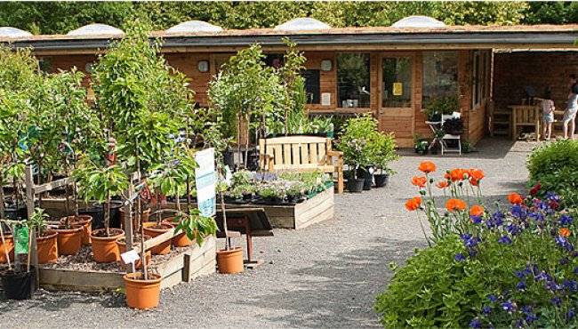 Woodside Plant Centre & Birdhouse Tearoom