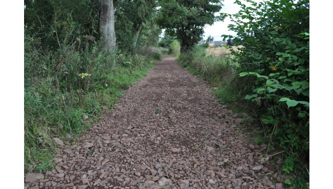 Eckford Community Walk 