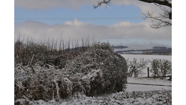 Peniel Heugh from, Eckford, March 2021